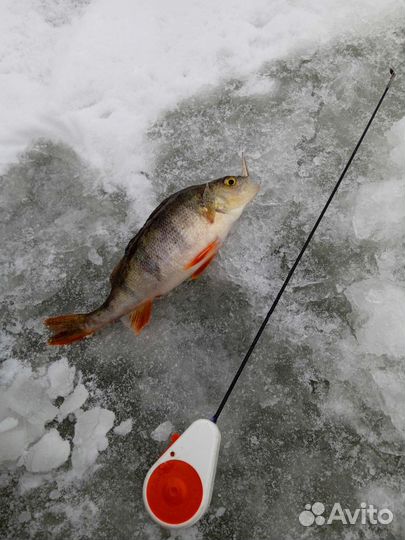 Удочки зимние для блеснения