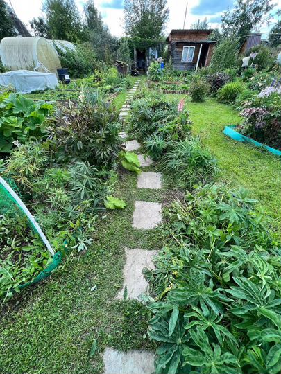 Дача 55 м² на участке 6,3 сот.