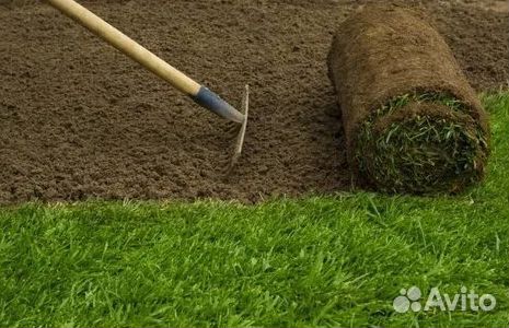 Рулонный газон