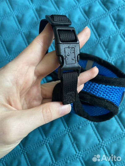 Шлейка для маленькой собаки