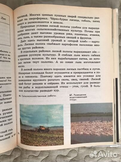 Учебник природоведение 3,5 класс 1992 г