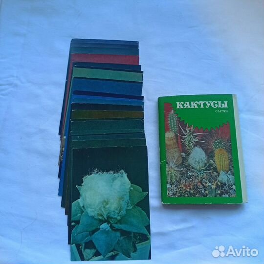 2 Набора открыток Кактусы и набор Овощи