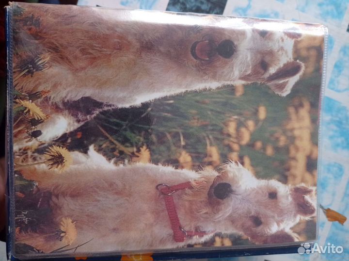 Фотоальбом СССР