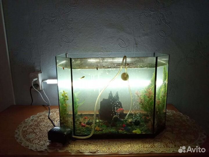 Аквариум