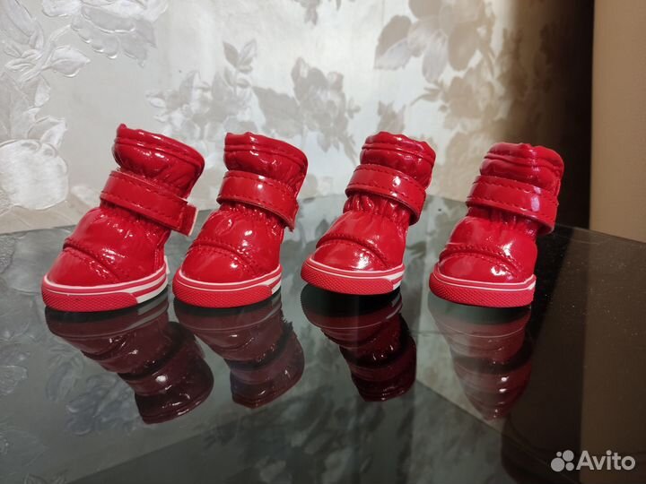 Ботинки для маленьких собак