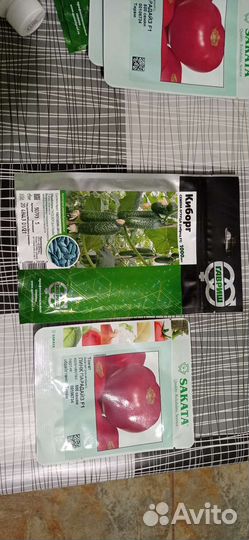 Семена томатов и огурцов