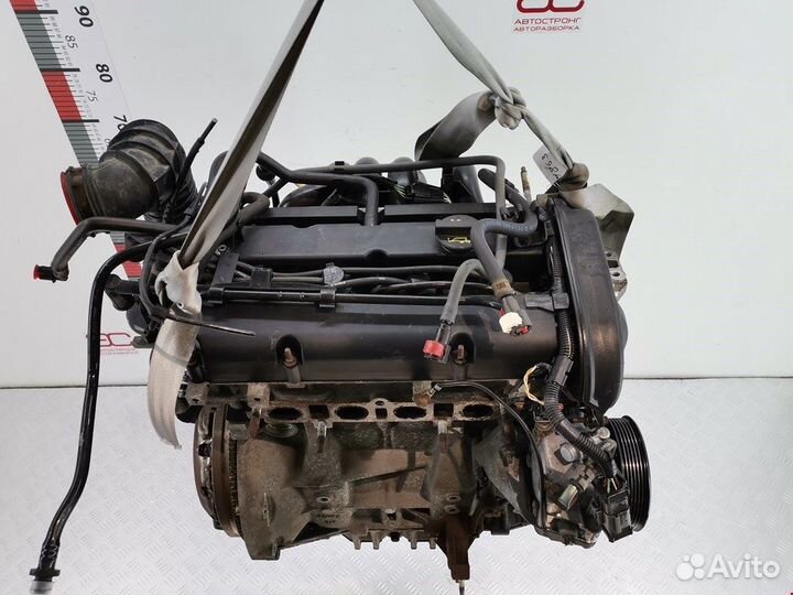 Двигатель (двс) для Ford Focus 1 fydd