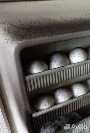 Старый холодильник