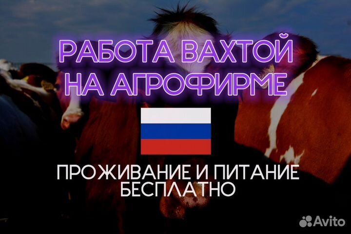 Разнорабочий Вахта в Казани без опыта