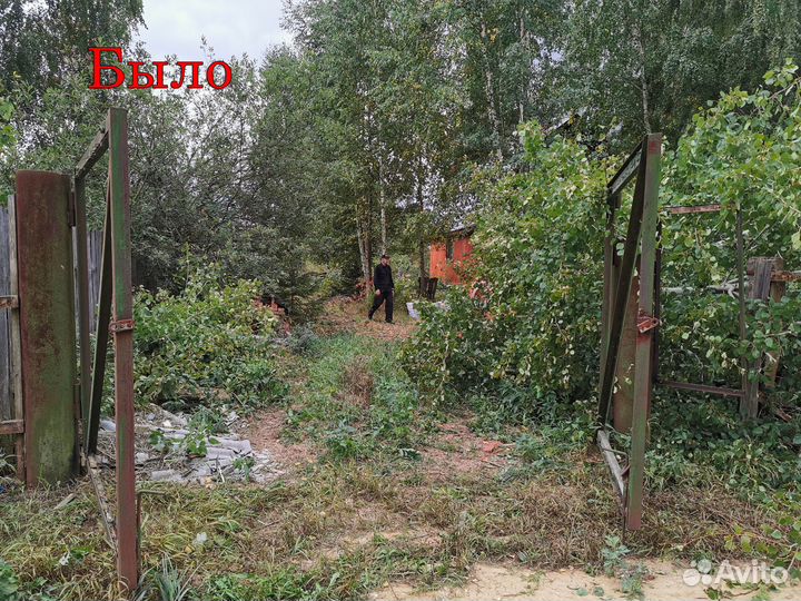 Расчистка участков Спил деревьев