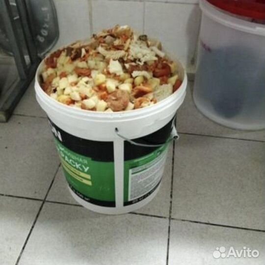 Отходы для свиней