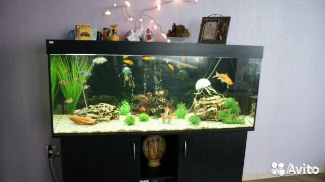 Обслуживание аквариума