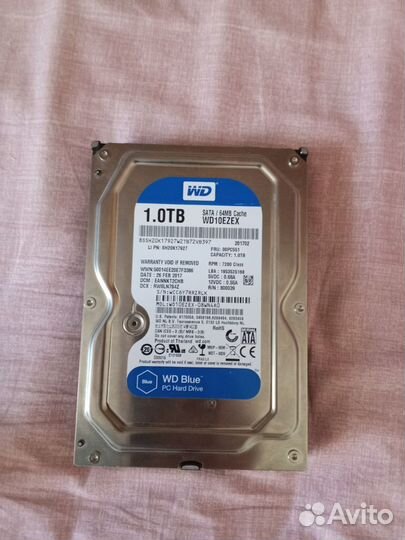 WD 1TB