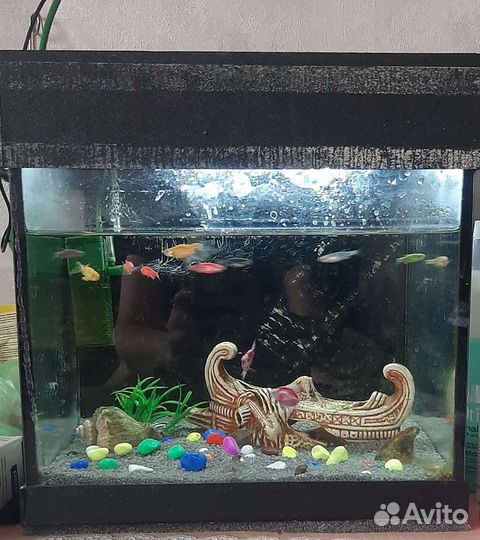 Аквариум