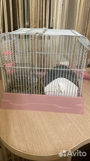 Клетка для джунгарского хомяка