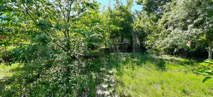 Дача 29 м² на участке 8,4 сот.