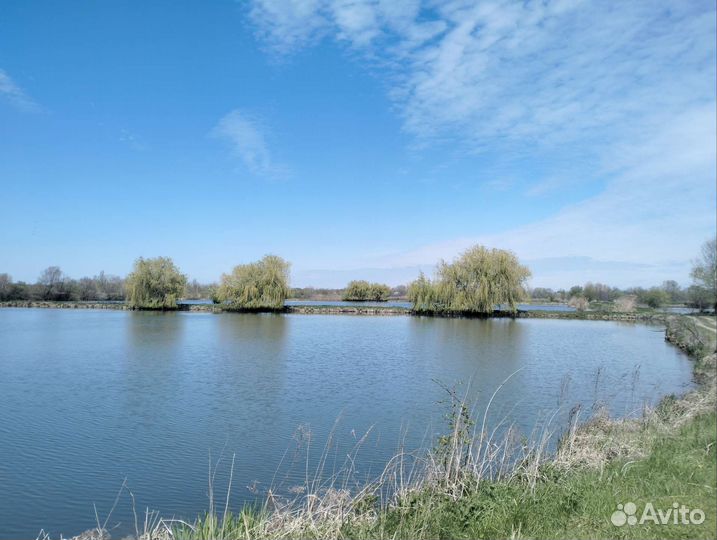 Рыбалка отдых