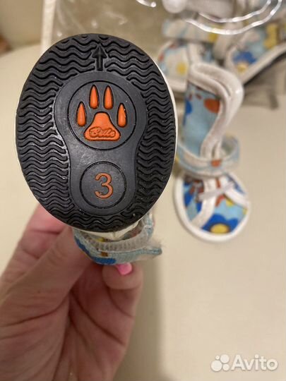 Обувь для собак кеды