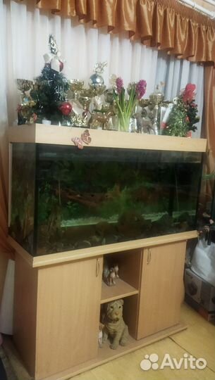 Аквариум с тумбой бу