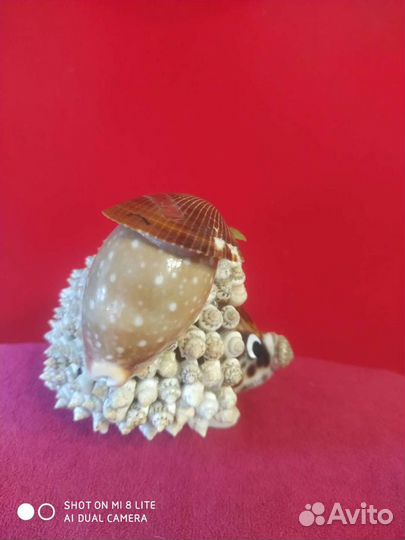 Сувенир Ёжик из Европы