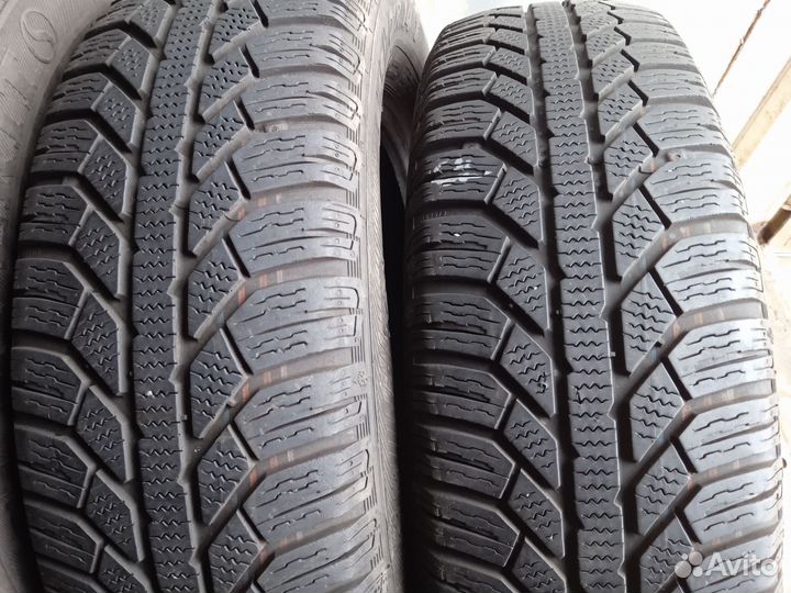 Semperit Speed Grip 2 175/70 R14