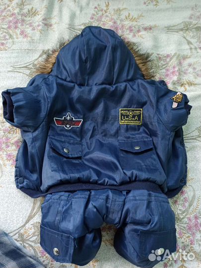 Одежда для собак, ошейники