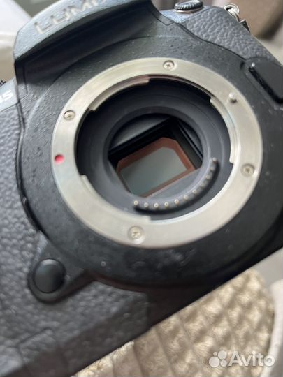 Panasonic gh5