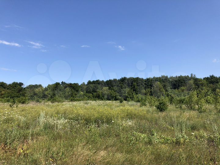 Участок 21,3 сот. (ИЖС)