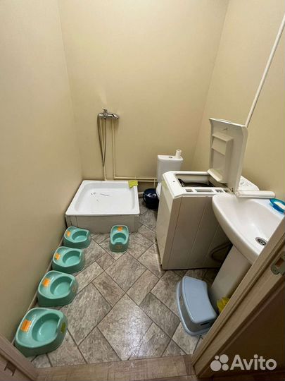 Частный ясли сад Абрикос Митино