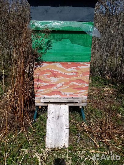 Ульи, пчелиная семья, пчелопакеты