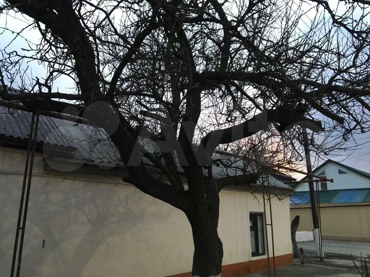 Дом 80 м² на участке 3 сот.