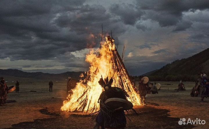Чай пуэр Бодрость духа бдр9593