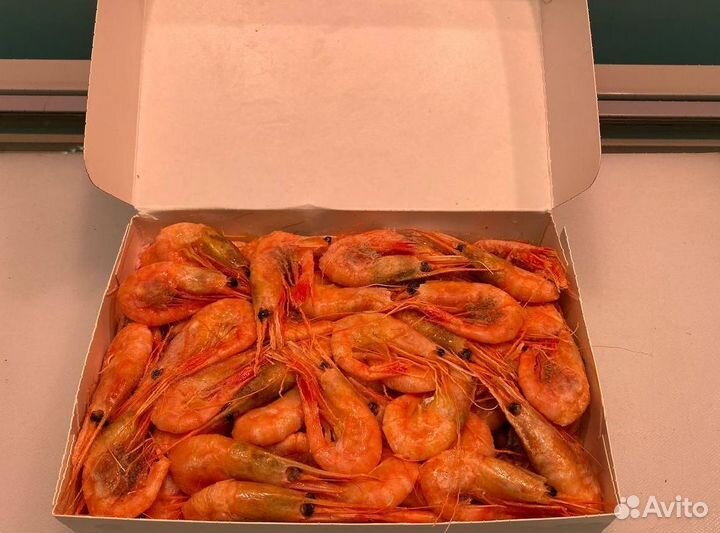 Креветка северная. Оптовые цены