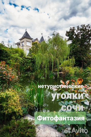 Обзорная индивидуальная экскурсия по сочи