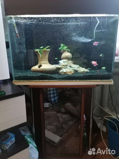 Аквариум
