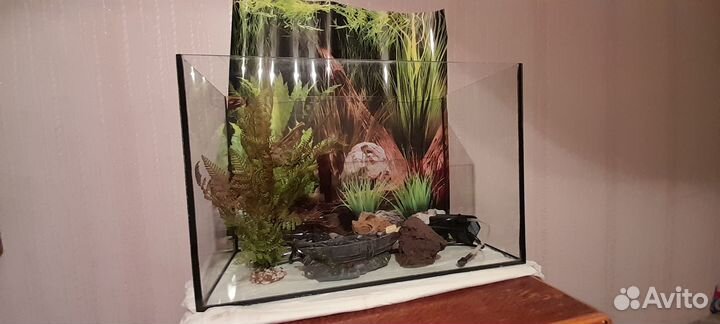 Аквариум