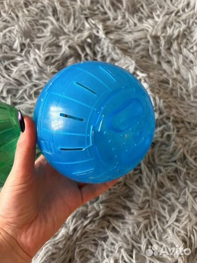 Сфера шар для прогулки для грызунов