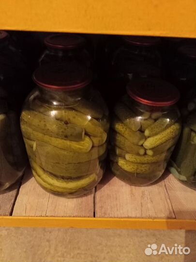 Маринованные огурцы и помидоры