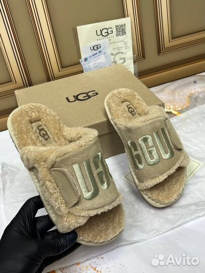 Женские тапочки угги Ugg