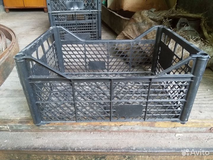 Ящики пластиковые для овощей и клубники