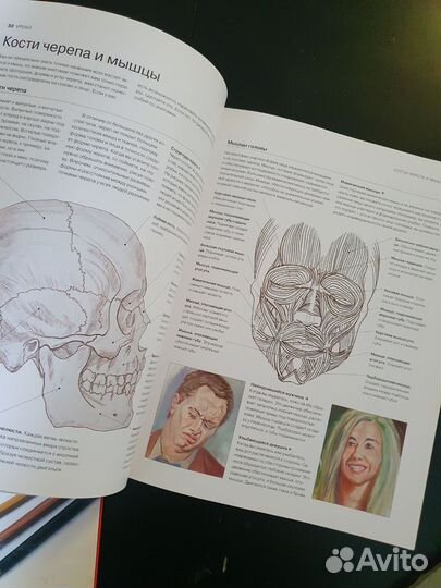 Книги для художников