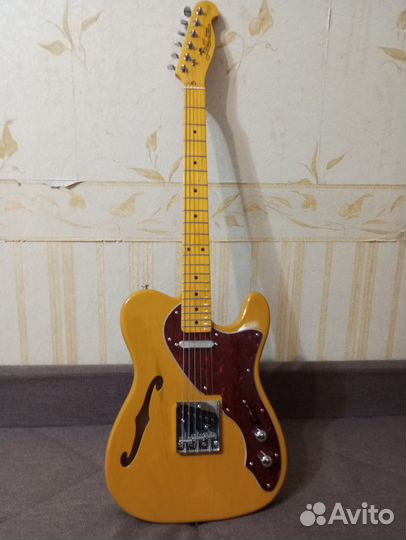 Электрогитара J&D Thinline