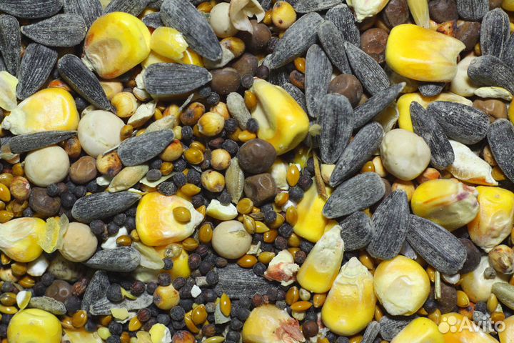 Зерно, семена, комбикорм