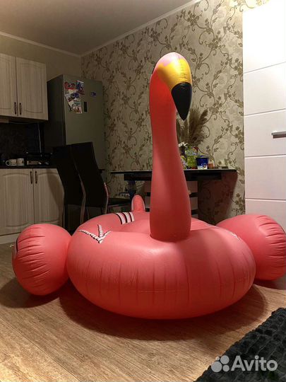 Новые огромные фламинго