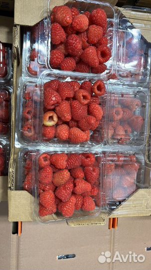 Малина свежая