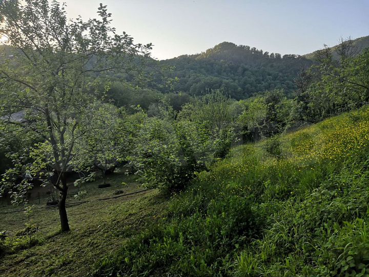 Участок 11,8 сот. (ИЖС)