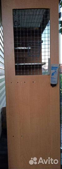 Витрина для шиншилл