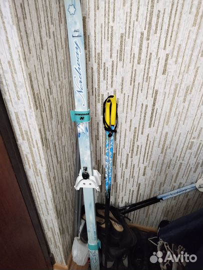 Беговые лыжи