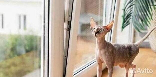 Пластиковые окна rehau