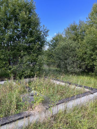 Участок 10 сот. (СНТ, ДНП)